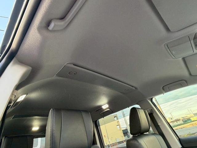 �k�d�c�w�b�h���C�g���ځB�铹�����邭�Ƃ炵�܂��B