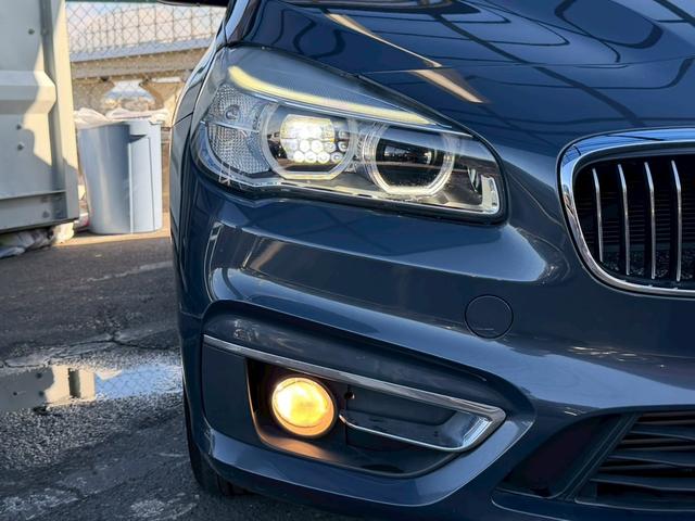 �k�d�c�w�b�h���C�g���ځB�铹�����邭�Ƃ炵�܂��B