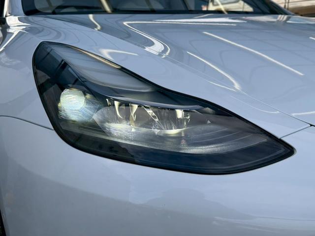 �k�d�c�w�b�h���C�g���ځB�铹�����邭�Ƃ炵�܂��B