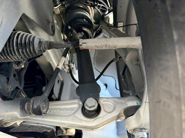 �����̓T�r�����Ȃ��A�����Y��ȏ�Ԃł���