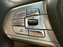 ７５０Ｌｉ　ワンオーナー禁煙車　スカイラウンジパノラマサンルーフ　エグゼクティブラウンジシート　デザインピュアエクセレンスインテリア　デザインピュアエクセレンスＰＫＧ　オプション１５本スポーク２０インチＡＷ（49枚目）