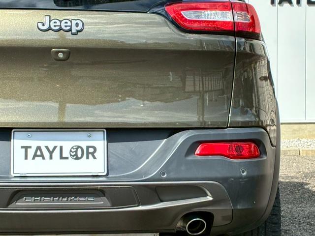 ジープ・チェロキー ウォーリアー　純正ナビ　バックカメラ　アダプティブクルーズコントロール　革シート　シートヒーター　パワーシート　パワーバックドア　ブラインドスポットモニター　Ｂｌｕｅｔｏｏｔｈ　アドバンスドブレーキアシスト（65枚目）