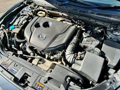 󥸥ĴҤɹŬʥɥ饤֤򤪳ڤߤ󥸥롼ݤ⤷ƤޤΤʾ֤Ǥ衪 4