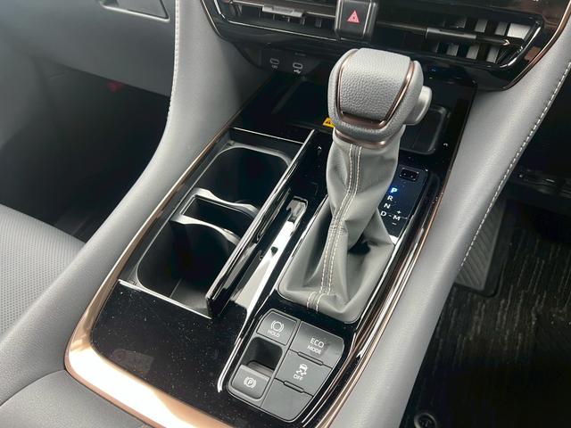 アルファード Ｚ　左右独立ムーンルーフ　ＷＡＬＤエアロ（Ｆ．Ｓ．Ｒ）　ＷＡＬＤジェニュインライン２１インチＡＷ　黒革シート　パノラミックビューモニター　デジタルインナーミラー　ＨＤＭＩ　シートヒーター　ベンチレーション（49枚目）