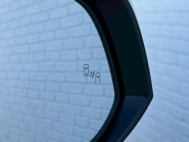 アルファード ２．５Ｓ　Ｃパッケージ　ツインムーンルーフ　デジタルインナーミラー　ブラインドスポットモニター　後席モニター　ＣＤ／ＤＶＤデッキ　フルセグＴＶ　ＥＴＣ２．０　３眼ＬＥＤヘッド　シートヒーター／クーラー　　ステアリングヒーター（61枚目）