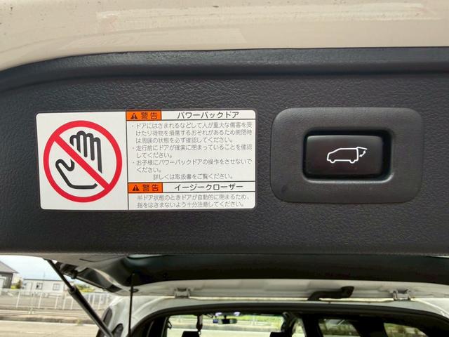 ヴェルファイア 2.5Z Aエディション ゴールデンアイズ 純正10インチナビ 後席モニター バックカメラ TV 両側電動スライドドア パワーバックドア LEDヘッドライト LEDルームランプ 社外シーケンシャルウインカー ETC レーダークルーズコントロール(80枚目)