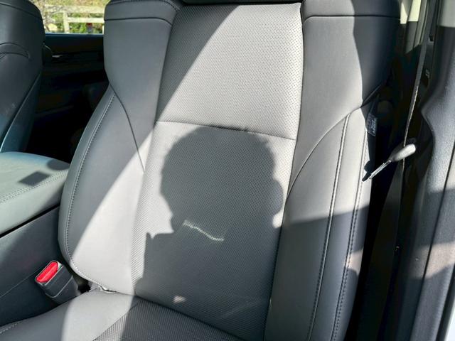 アルファード 2.5S Cパッケージ サンルーフ 純正ディスプレイオーディオ+ナビ フリップダウンモニター デジタルインナーミラー フルセグTV 3眼LEDヘッドライト 両側電動スライドドア 電動バックドア シートヒーター シートクーラー(64枚目)