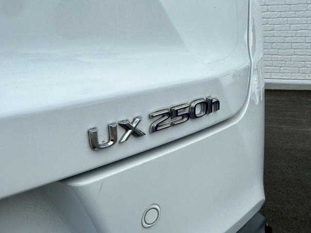 UX UX250h Fスポーツ 3眼LEDヘッドライト 赤革シート 純正ナビ フルセグTV ETC2.0 パワーシート シートヒーター シートクーラー ステアリングヒーター バックカメラ パワーバックドアドラレコ ブラインドスポット(24枚目)