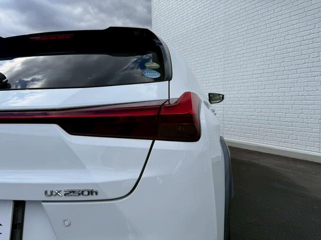 UX UX250h Fスポーツ 3眼LEDヘッドライト 赤革シート 純正ナビ フルセグTV ETC2.0 パワーシート シートヒーター シートクーラー ステアリングヒーター バックカメラ パワーバックドアドラレコ ブラインドスポット(29枚目)