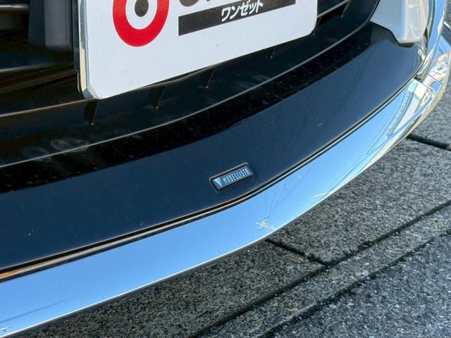 アルファード 2.5S Cパッケージ サンルーフ モデリスタエアロ 10型ナビTV 12.1型フリップダウンモニター デジタルインナーミラー バックカメラ CDDVD再生可 両側パワースライド シートヒーター ベンチレーション BSM(54枚目)