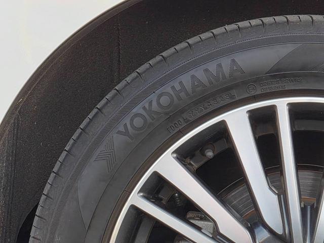 エルグランド ２５０ハイウェイスタープレミアム　純正１０型ナビＴＶ　フリップダウンモニター　アラウンドビューモニター　ＥＴＣ　両側パワースライドドア　パワーバックドア　レザーシート　シートヒーター　衝突軽減　レーダークルーズ（55枚目）