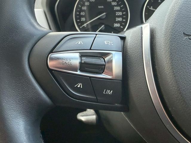 X1 xDrive 18d Mスポーツ 純正ナビ バックカメラ CDDVD ETC 本革 シートヒーター パワーシート ドライビングモード コンフォートアクセス パーキングアシスト レーンキープ 衝突軽減 レーダークルーズ ユーザー買取(11枚目)