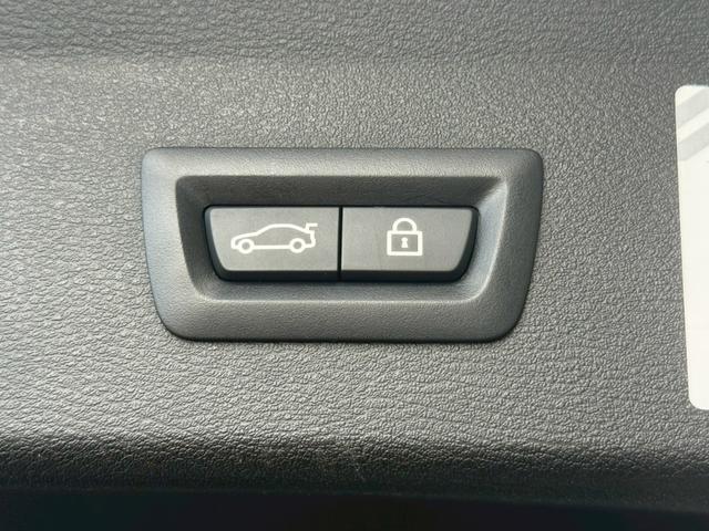 X1 xDrive 18d Mスポーツ 純正ナビ バックカメラ CDDVD ETC 本革 シートヒーター パワーシート ドライビングモード コンフォートアクセス パーキングアシスト レーンキープ 衝突軽減 レーダークルーズ ユーザー買取(34枚目)