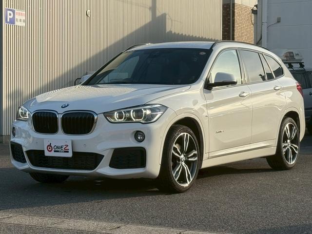 X1 xDrive 18d Mスポーツ 純正ナビ バックカメラ CDDVD ETC 本革 シートヒーター パワーシート ドライビングモード コンフォートアクセス パーキングアシスト レーンキープ 衝突軽減 レーダークルーズ ユーザー買取(35枚目)