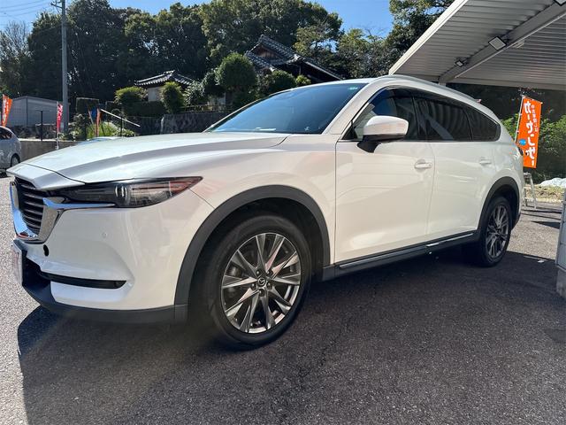 ＣＸ－８ ＸＤ　Ｌパッケージ　ドライブレコーダー　ＥＴＣ　全周囲カメラ　クリアランスソナー　オートクルーズコントロール　レーンアシスト　パワーシート　衝突被害軽減システム　ナビ　ＴＶ　ＬＥＤヘッドランプ　ヘッドライトウォッシャー（16枚目）