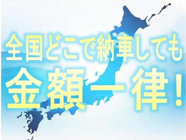 キャリイトラック KU 3方開 愛知限定車 エアコン パワーステアリング ナビ 5速マニュアル 最大積載350kg 軽トラック(48枚目)