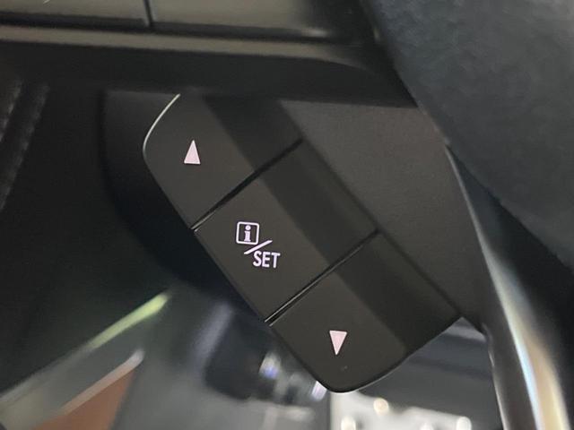 フォレスター アドバンス 8型ナビ 茶革シート 電動リアゲート ルーフレール バックカメラ シートヒーター パワーシート 衝突軽減 レーダークルーズ LEDヘッド&フォグ ドラレコ(35枚目)