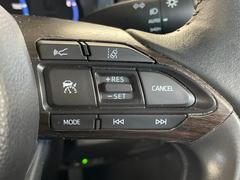 �ڥ졼�������롼������ȥ�����۹�®ƻϩ�Ǥ�Ĺ��Υ���Ԥ��ڤˡ�����ư��®�٤��ݤĥ��롼������ȥ����뤬�����ͷڸ������ƥ��Ϣ�Ȥ��������μ�ξ���Τ��Ƽִ֤��ݤĤ褦��®��Ĵ�ᤷ�Ƥ���ޤ����� 6