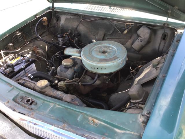 サニー ＤＸ（15枚目）