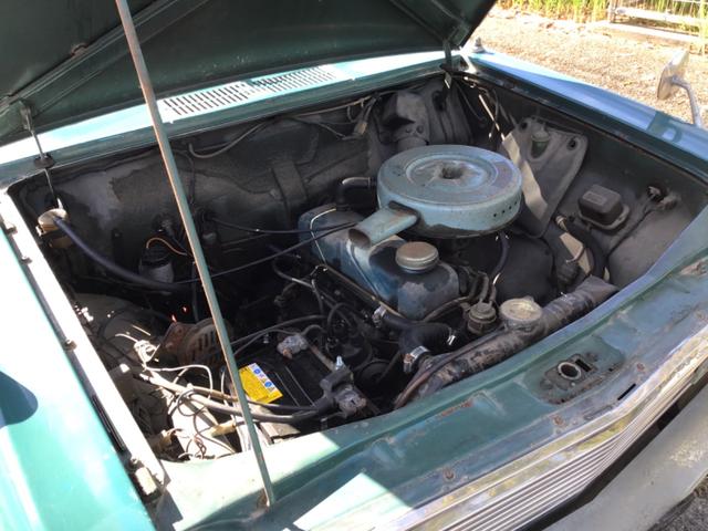 サニー ＤＸ（16枚目）