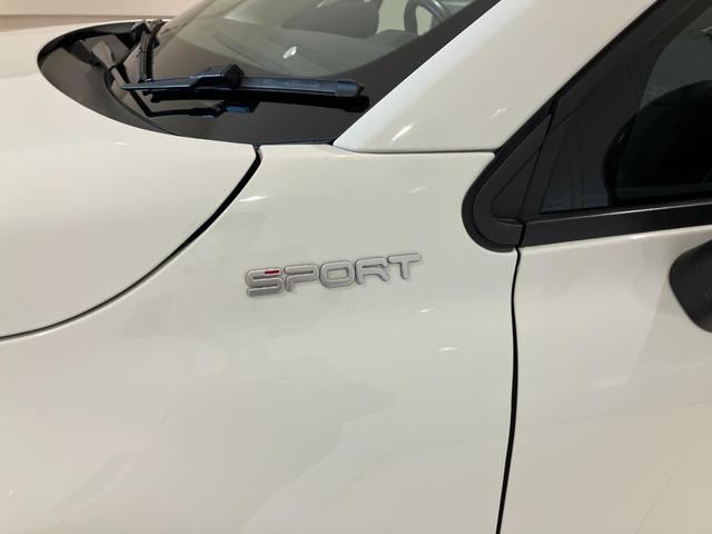 ５００Ｘ スポーツ　アダプティブクルーズコントロール　衝突軽減ブレーキ　レーンキープアシスト　本革シート　バックカメラ　Ｃａｒｐｌａｙ　Ｂｌｕｅｔｏｏｔｈ　クリアランスソナー　１９インチアルミ（48枚目）