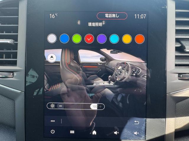 メガーヌ R.S.ウルティム 世界限定1976台 最終モデル(30枚目)