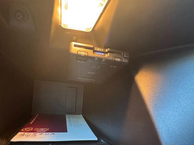 メガーヌ R.S.ウルティム 世界限定1976台 最終モデル(37枚目)