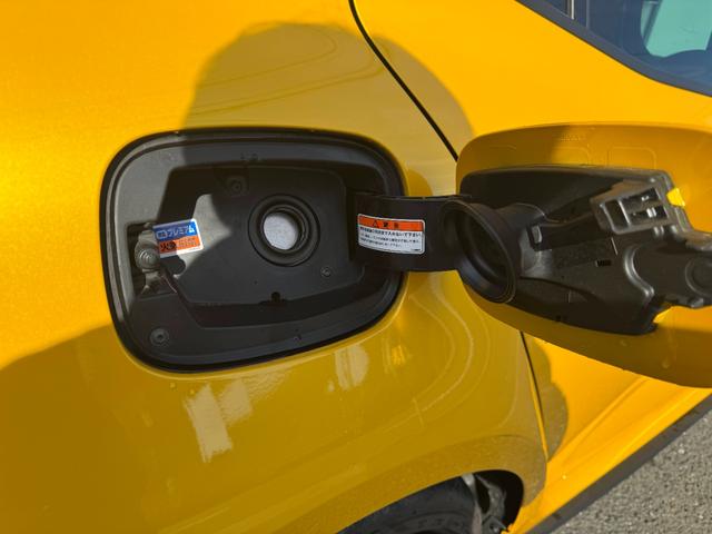 メガーヌ R.S.ウルティム 世界限定1976台 最終モデル(42枚目)