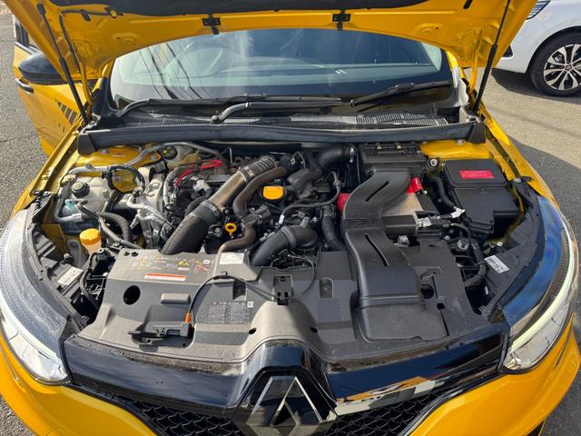 メガーヌ R.S.ウルティム 世界限定1976台 最終モデル(43枚目)