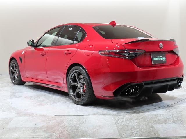 ジュリア ビータボクアドリフォリオ（5枚目）