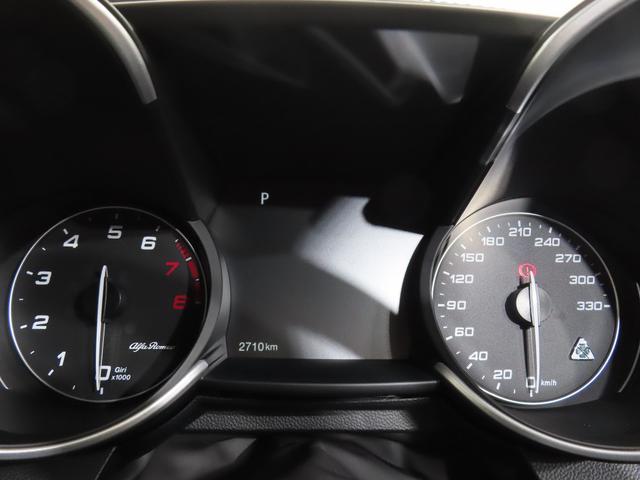 ジュリア ビータボクアドリフォリオ（16枚目）