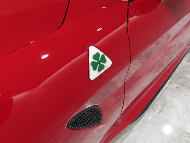 ジュリア ビータボクアドリフォリオ（35枚目）