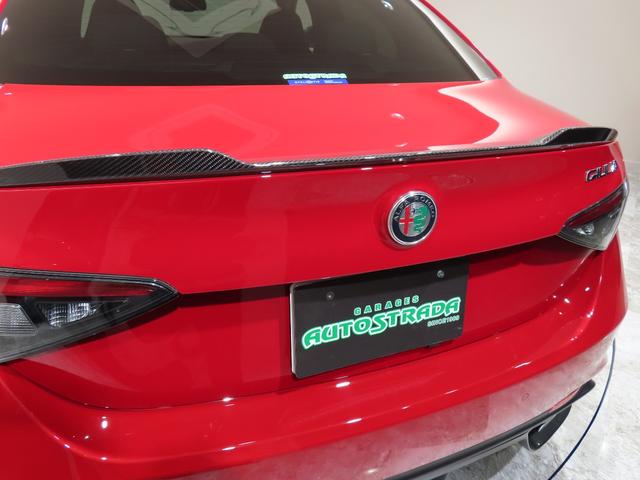 ジュリア ビータボクアドリフォリオ（36枚目）