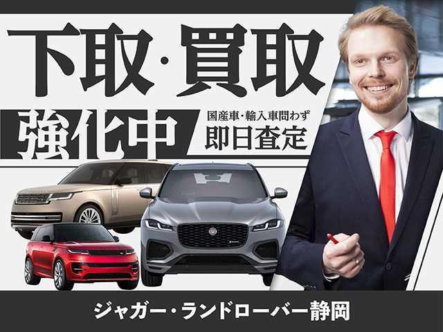 チェッカーフラッグＥＤ　認定中古車　ドライブプロパック　ＡＣＣ　ブラインドスポットモニター　レーンキープアシスト　固定式パノラミックルーフ　マルチカラーアンビエントライト　インタラティブドライバーディスプレイ(49枚目)