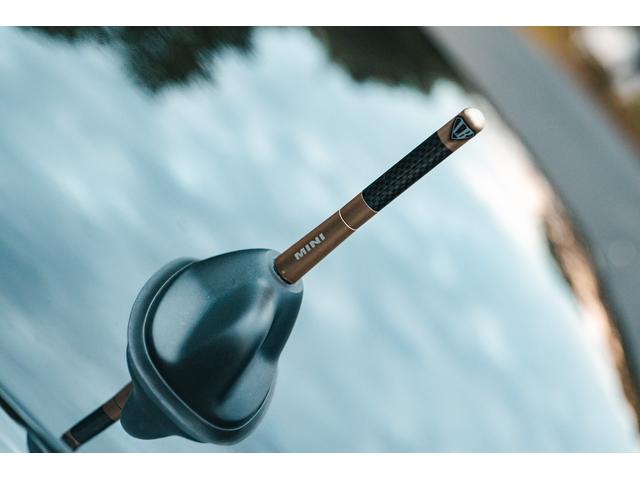 ＢＭＷその他 　ＬＢ－ＷＯＲＫＳ　ＭＩＮＩクーパー　Ｃｏｍｐｌｅｔｅ　ｂｏｄｙ　ｋｉｔ　Ａｉｒｒｅｘエアーサスペンション　ＷＯＲＫホイール　ＴＯＹＯＴＩＲＥ（33枚目）