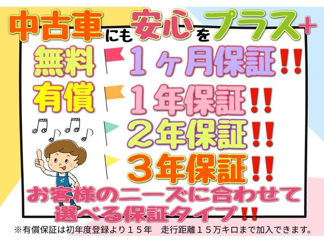 Ｇ　サンクスエディション（３０ｋｗｈ）　１０セグ（満充電時表示１７７キロ）整備＆保証付き／純正ナビ（フルセグ／ＣＤ／ＤＶＤ／ＳＤ／Ｂｌｕｅｔｏｏｔｈ／ＡＵＸ）／アラウンドビュー／ＢＯＳＥスピーカー／レザーシート／シートヒータ／コーナーセンサ(4枚目)