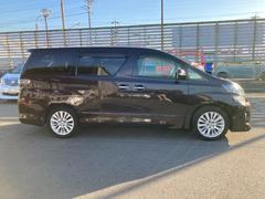 ե ڡϡʸǥˡ;ꡡݾդȣģĥʥ 0220006A30251116W004 5