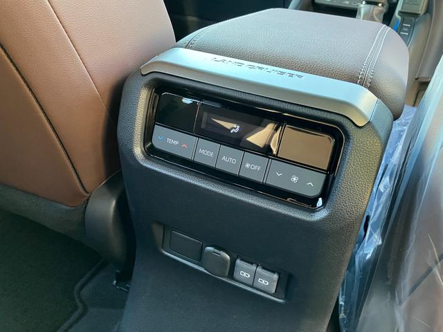 ランドクルーザー250 VXファーストエディション 12.3インチディスプレイ(コネクティッドナビ)/全周囲カメラ/Bluetoothオーディオ/リフレクター式3眼LED/専用純正アルミホイール/レザーシート/ムーンルーフ/登録済み未使用車(31枚目)