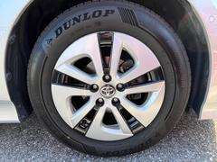 �ץꥦ�� ���������ʥӡ��ϥǥ��ԣ֡��¥���顡�£������������б� 0221360A30251010W002 5