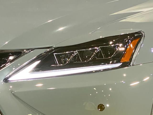 ＩＳ ＩＳ３５０　バージョンＳ　ビス止めオーバーフェンダー　現行ルックエアロ　ＬＥＤヘッド＆テール　ネジ式車高調　新品１９インチシュタイナー　アレスブラック　サンルーフ　マークレビンソン（10枚目）