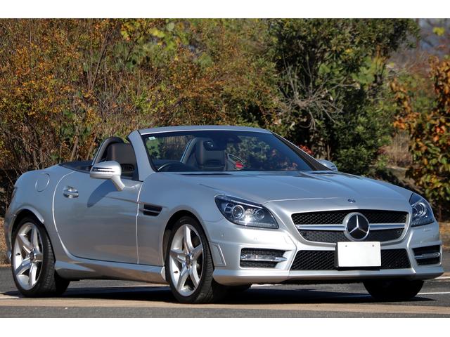 ＳＬＫ ＳＬＫ２００　ＡＭＧスポーツＰＫＧ　マジックスカイルーフ　レザーＰＫＧ　ユーティリティＰＫＧ　レーダーセーフティＰＫＧ　レザーシート　エアスカーフ　ダイナミックハンドリングＰＫＧ　地デジＴＶ　１８ＡＷ（17枚目）