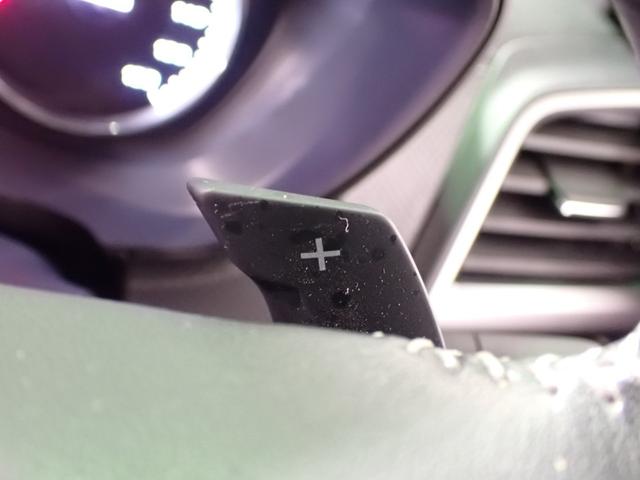 フォレスター アドバンス 純正8インチメモリーナビ&フルセグTV CD&DVD再生・ブルートゥース・USB・全方位モニター 前後ドラレコ ETC LED 半革シート&ヒーター BSM 電動ゲート 衝突軽減ブレーキ 禁煙 買取車(13枚目)