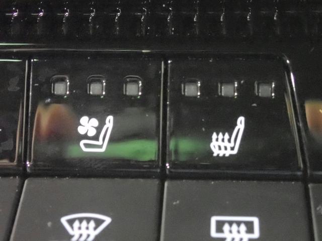 ランドクルーザー250 VX 純正コネクトナビTV ブルートゥース&USB&HDMI対応 全方位モニター サンルーフ ETC2.0 前後ドラレコ 革シート&ヒーター&ベンチレーター 電動ゲート 純正アルミ ワンオーナー禁煙 買取車(9枚目)