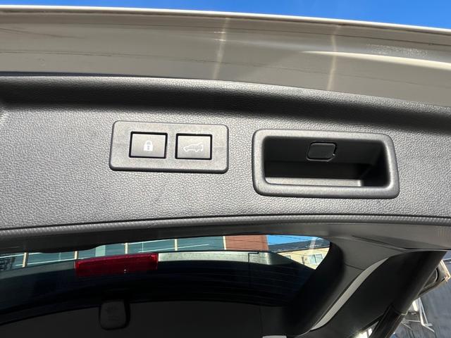 フォレスター プレミアム　４ＷＤ　本州仕入　純正ナビＴＶ　バックカメラ　パワーバックドア　デジタルインナーミラー　全席シートヒーター　ハーフレザーパワーシート　アイサイト　純正ドライブレコーダー（30枚目）