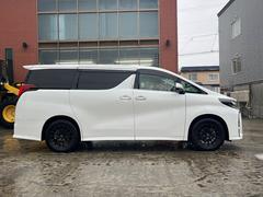 ����ե����ɥϥ��֥�å� �ӣҡ��åѥå����������ףġ��ܽ������������ʥӣԣ� 0300064A30251225W002 4