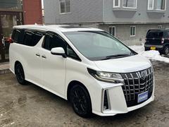 ����ե����ɥϥ��֥�å� �ӣҡ��åѥå����������ףġ��ܽ������������ʥӣԣ� 0300064A30251225W002 6