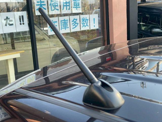 ����E��������Ă���܂������悾���ł��劽�}�ł���