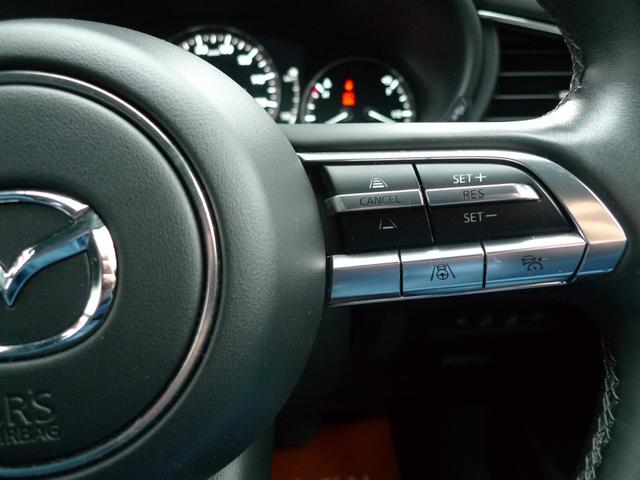 ＣＸ－３０ ＸＤ　Ｌパッケージ　ｉ－ＡＣＴＩＶＳＥＮＳＥ／マツダコネクト／３６０°ビューモニター／Ｂｏｓｅサウンド／本革シート／シートヒーター／ヘッドアップディスプレイ／ステアリングヒーター／ドライブレコーダー／エンジンスターター（19枚目）