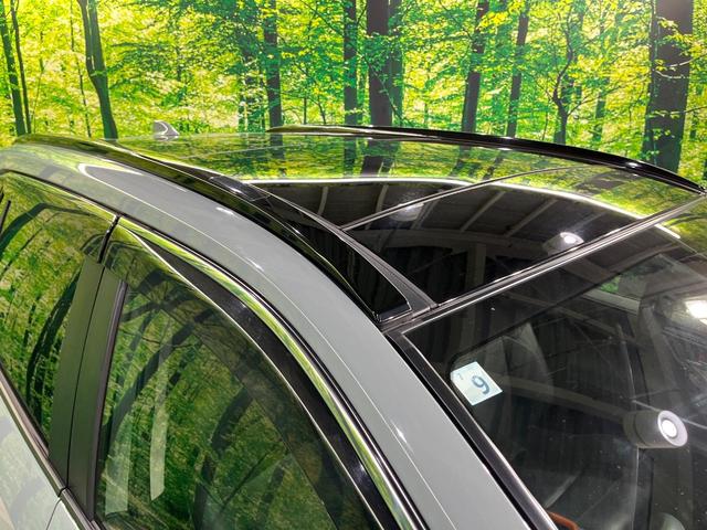 ＲＡＶ４ アドベンチャー　サンルーフ　パノラミックビュー　寒冷地仕様　純正９型ＤＡ　オールテレインホワイトレター　セーフティセンス　レーダークルーズ　ブラインドスポット　シートベンチレーション　パワーシート　ＬＥＤヘッド（32枚目）