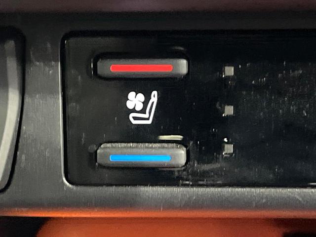 ＲＡＶ４ アドベンチャー　サンルーフ　パノラミックビュー　寒冷地仕様　純正９型ＤＡ　オールテレインホワイトレター　セーフティセンス　レーダークルーズ　ブラインドスポット　シートベンチレーション　パワーシート　ＬＥＤヘッド（46枚目）
